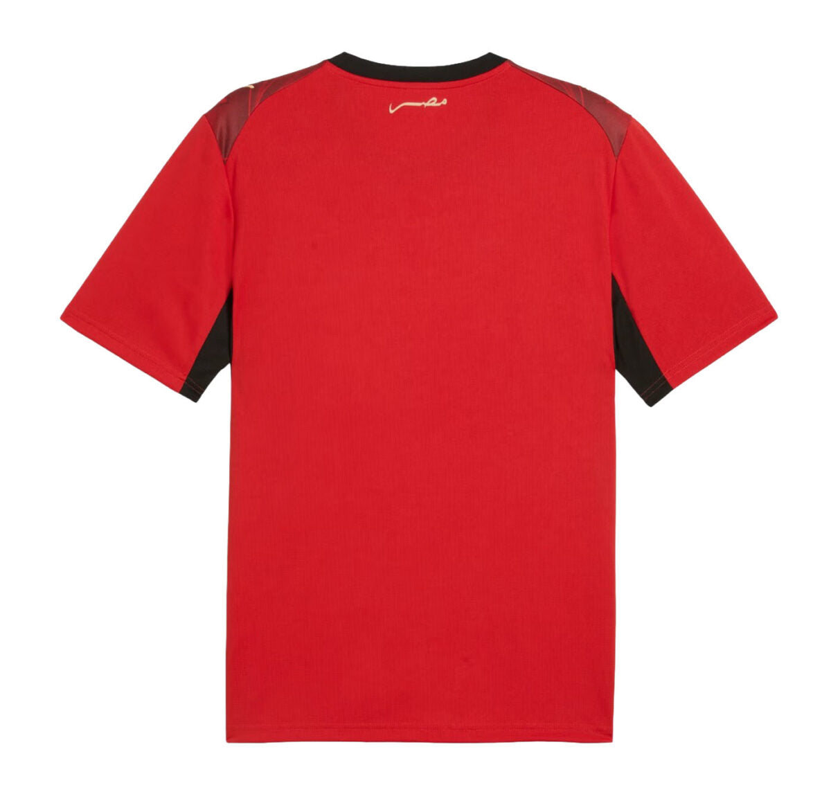 Egypt 2026 Home Jersey