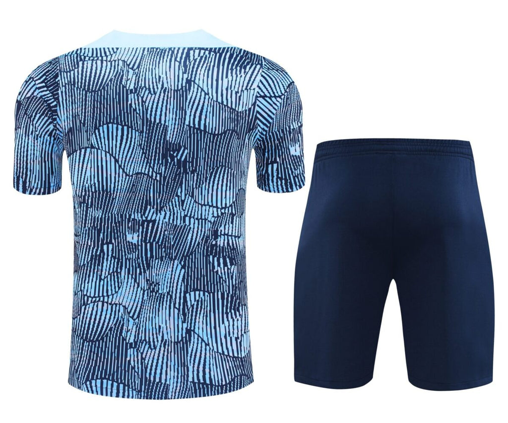 PSG Light Blue Zebra Training Set